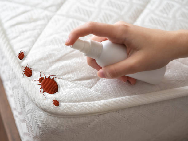 Pest Control for Restaurants in Matamoras, PA